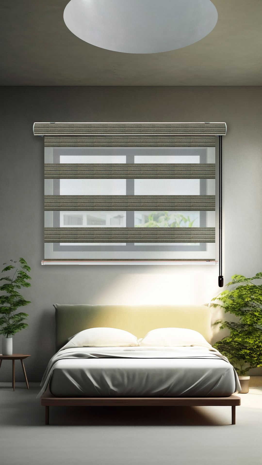 Sheer Elegance Palisandro - imagen 1